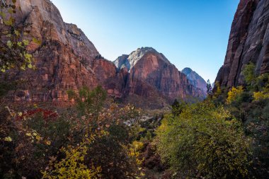 Virgin Nehri üzerindeki görkemli kumtaşı uçurumları. Etrafı canlı sonbahar yapraklarıyla çevrili. Springdale, Utah 'ta rahatlama ve keşiflere davetiye çıkarıyor..
