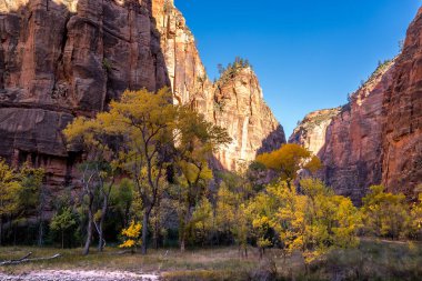 Zion Ulusal Parkı 'nın göz kamaştırıcı manzaralarını keşfedin. Virgin Nehri' nin resimli kanyonlar ve canlı sonbahar yaprakları arasında aktığını keşfedin..