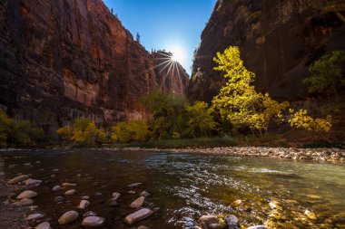 Explore the stunning landscapes of Zion National Park with the Virgin River flowing through picturesque slot canyons and vibrant autumn foliage. clipart