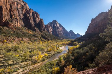 Springdale, Utah 'taki Zion Ulusal Parkı' nın nefes kesici güzelliğini tecrübe edin. Bu çarpıcı konumda yüksek kum taşı kayalıkları ve canlı bitki örtüsü bulunur..