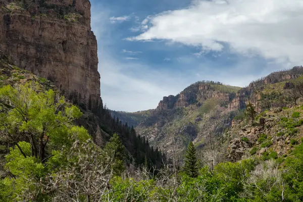 Bereketli yeşillik Glenwood Springs, Colorado 'nun görkemli kayalıklarını ve dağlarını sarar. Parlak mavi bir gökyüzü ve dağınık bulutlar altında..