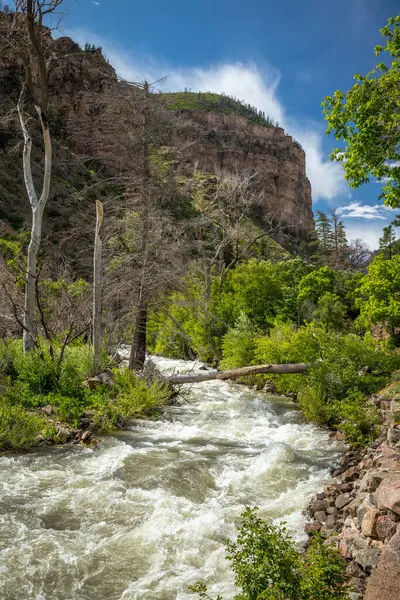 Glenwood Springs 'teki Grizzly Creek Patikası boyunca, yemyeşil sularla çevrili, parlak mavi gökyüzünün altında akan su.