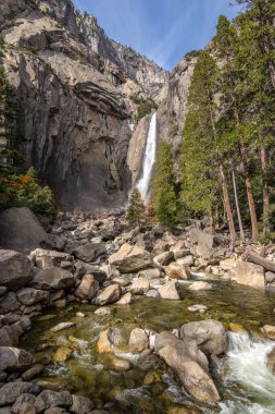 Yosemite Şelaleleri 'ni keşfedin. Suyun yemyeşil ve sakin yabanın ortasındaki uçurumlardan aktığı yer..