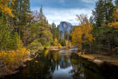 A tranquil autumn view captures Half Dome reflected in the peaceful waters of Yosemite Valley, surrounded by vibrant foliage and towering trees. clipart