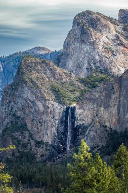 BridalVeil Şelaleleri, Yosemite Ulusal Parkı 'ndaki granit kayalıklardan aşağı görkemli bir şekilde akar. Etrafı yüksek dağlar ve bereketli yaban hayatlarıyla çevrilidir..