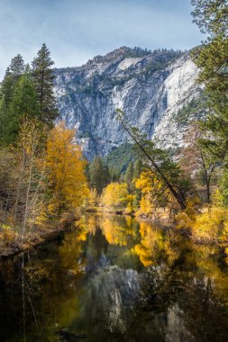 Ziyaretçiler, Yosemite Vadisi 'nde sonbaharın dingin güzelliğinin keyfini çıkarırken, berrak bir gökyüzünün altındaki yüksek uçurumların yanında durgun sularda altın yapraklar yansıyor..