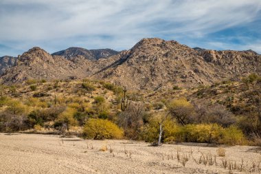 Pima County, Arizona 'daki engebeli dağları ve Sonoran Çölü' nün ikonik kaktüsünü keşfedin. Açık hava maceraları ve seyahat için mükemmel..