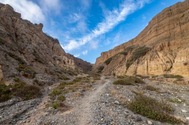 San Clemente 'deki Bluffs Beach Trail' in engebeli arazisinde doğal güzellikler ve eşsiz kaya oluşumları gözler önüne seriliyor..