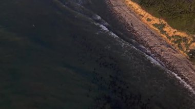 Bluff Körfezi 'nin altın saatinde havadan çekimi.