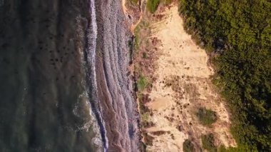 Bluff Cove 'un yukarıdan aşağıya doğru görüntüsü