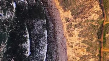 Bluff Cove 'un yukarıdan aşağıya doğru görüntüsü