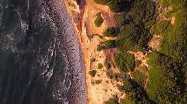 Bluff Cove 'un yukarıdan aşağıya doğru görüntüsü