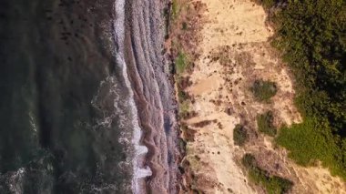 Bluff Cove 'un yukarıdan aşağıya doğru görüntüsü