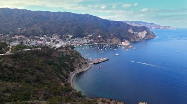 Avalon Limanı 'nın havadan çekilmiş vinç görüntüsü