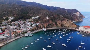 Avalon Limanı 'nın hava görüntüsü