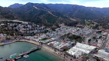 Avalon Limanı 'nın hava görüntüsü