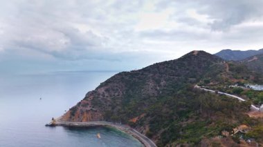 Avalon Limanı 'nın hava görüntüsü