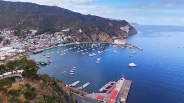 Avalon Limanı 'nın hava ifşası