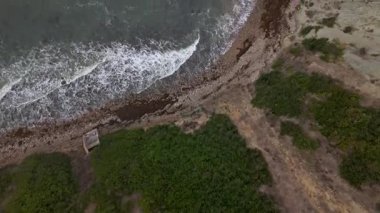 Kayalık sahil şeridi boyunca yürüyen sörfçülerle dolu bulutlu bir günde Palos Verdes Konutları 'nın dramatik Bluff Cove Trail' in hava görüntüleri.