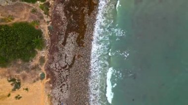 Bluff Cove, Palos Verdes Estates, Kaliforniya 'nın hava manzarası sisli bir günde dramatik kayalıkların ve sörfçülerin üzerinde yürüyen insanlar aşağıdaki dalgalara biniyor.