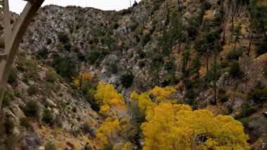 Los Angeles Ulusal Ormanı, Kaliforniya 'da Büyük Tujunga Narrows Köprüsü' nün altında uçan hava manzarası canlı sonbahar yeşillikleri ve görkemli dağ manzaraları sergiliyor..