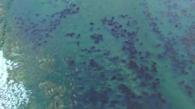 Los Angeles, Kaliforniya 'daki Point Fermin' in alçak hava manzarası, engebeli okyanus kayalıkları, çarpan dalgalar ve karamsar bulutlu kıyı manzarası