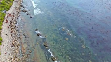 Los Angeles, Kaliforniya 'daki Point Fermin' in alçak hava manzarası, engebeli okyanus kayalıkları, çarpan dalgalar ve karamsar bulutlu kıyı manzarası