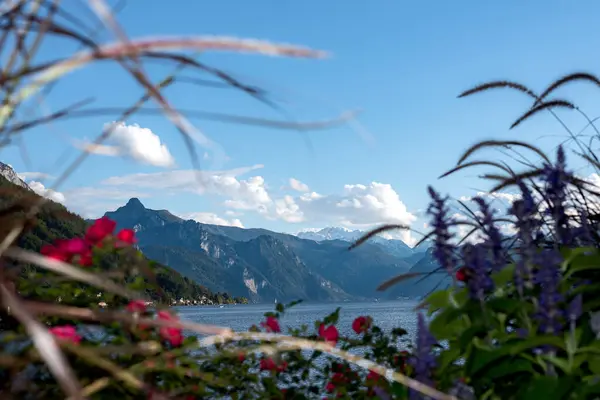 Önünde çiçekler, arka planında dağlar, arkasında dağlar ve arkada Traunsee Gölü var.