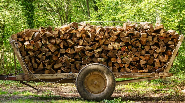 ワゴンは木を積んでいた 森林での木材伐採 木の丸太が積み上げられた 冬の暖房用のストレージ 寒い季節に備えるための仕事 — ストック写真