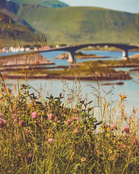 Νορβηγικό Γραφικό Τοπίο Στο Αρχιπέλαγος Lofoten Δρόμος Και Γέφυρα Που — Φωτογραφία Αρχείου