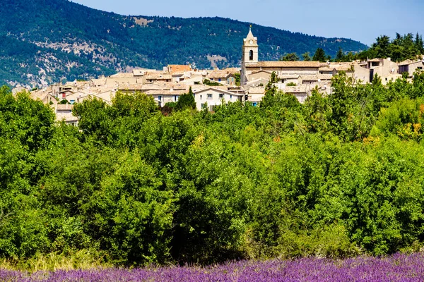 Sault Village Kurort Vaucluse Departement Provence Frankrike Sommarlandskap Med Lavendelfält — Stockfoto