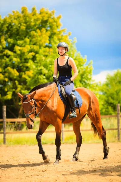 在照顾动物 西方竞争理念 赛马会的女孩做骑马上农村草甸 外面阳光灿烂的日子 — 图库照片