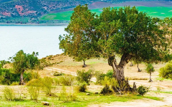 Spanish Nature Landscape Hills Countryside Surrounding Lake Embalse Del Guadalhorce — Stock Photo, Image
