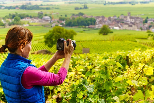 Turistkvinna Besöker Vingårdsområdet Pommard Bourgogne Cote Beaune Cote Frankrike Kvinna — Stockfoto