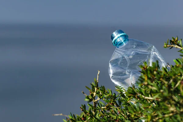 海の岸に放棄されたプラスチック製の水ボトル 自然の中に捨てられた廃棄物 環境汚染 地球環境問題 — ストック写真