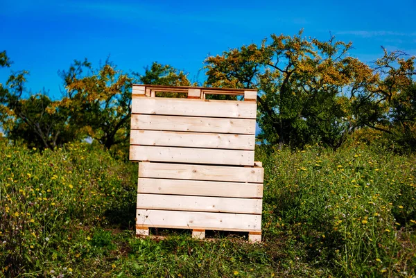 Obstgarten Kisten Stehen Zur Ernte Bereit Landwirtschaft Lebensmittelanbau — Stockfoto