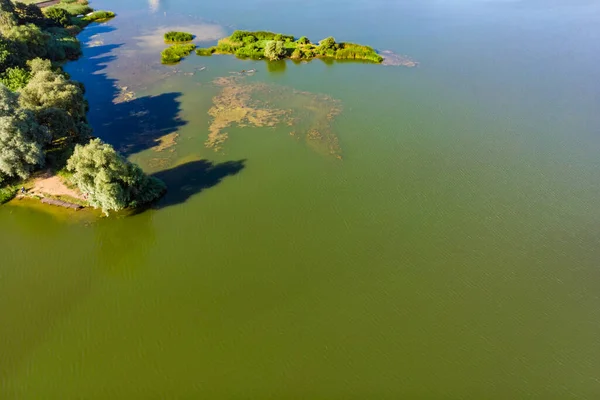 Vue Aérienne Lac Forêt Verte Dans Parc National Tuchola Pologne — Photo