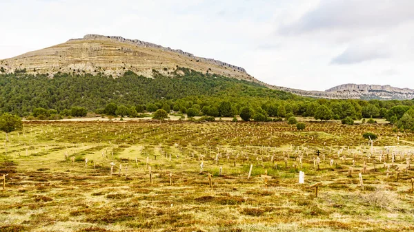 Sad Hill Cemetery Burgos Spain Tourist Place Film Location Last — Stock Fotó