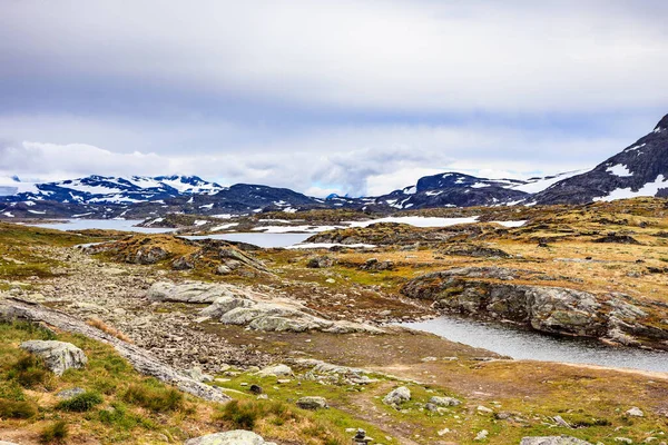 Zomer Bergen Landschap Noorwegen Nationale Toeristische Route Sognefjellet — Stockfoto