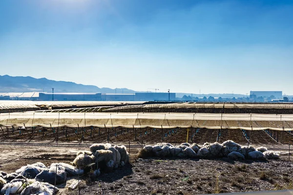 Spanish Landscape Almeria Region Many Plastic Greenhouses Coast Andalusia — Stock Photo, Image