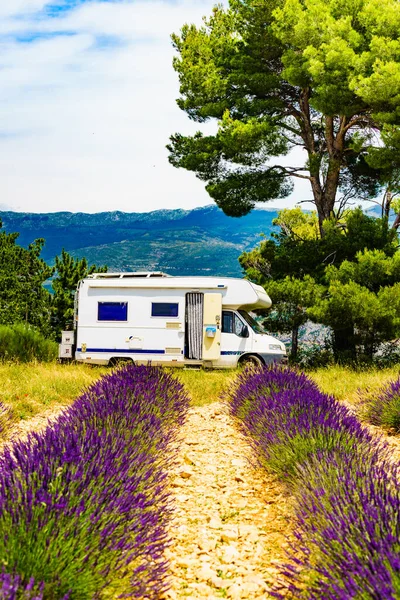 フランスのラベンダー紫色のフィールドに咲くラベンダーで夏の自然をキャンプ車 自家用車での休暇 — ストック写真