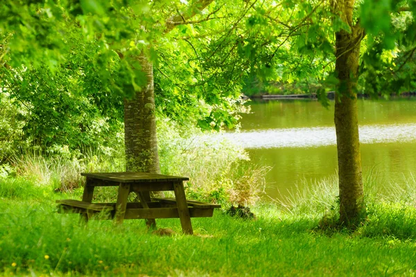 Picnic area, table with bench at lake Bultiere in Vendee France. Spring summer nature.