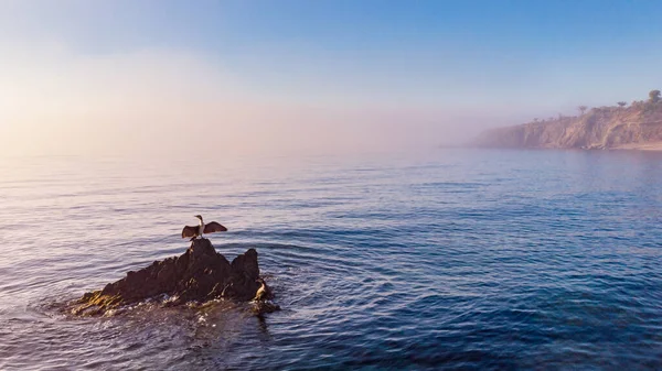 Morgon Havsutsikt Med Skarv Fågel Sten Naturen Spanien Almerinkusten — Stockfoto