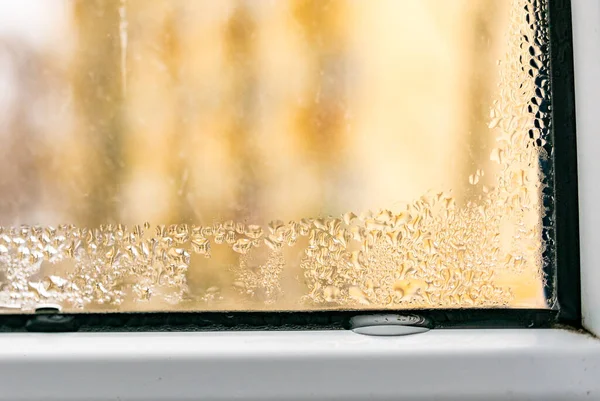 Wet Window Pane Black Mold Plastic Water Condensation Problem Dew — Stock Photo, Image