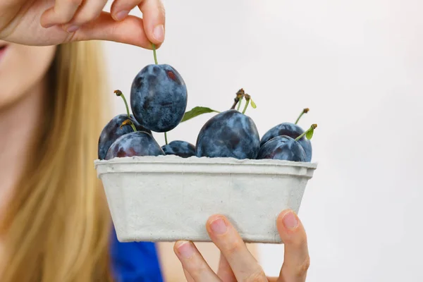 Ragazza Che Tiene Frutti Prugna Blu Scatola Carta Frutta Stagione — Foto Stock