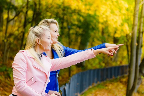 2人のブロンド女性親友を身に着けているファッショナブルな服 ピンクと青のラモーンジャケット 秋の公園を歩く — ストック写真