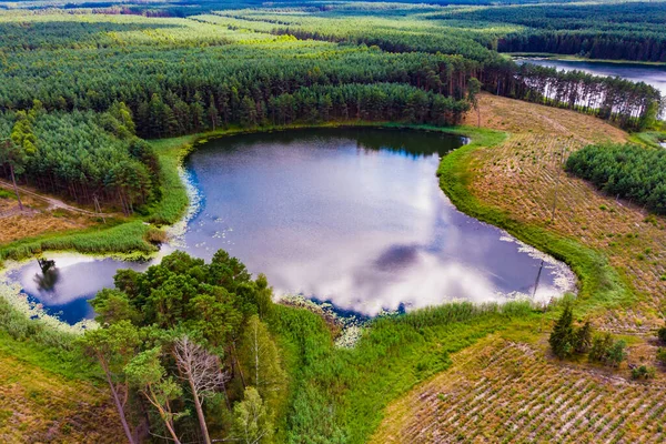 Luchtfoto Meer Groen Bos Tuchola Nationaal Park Polen Zomer Landschap — Stockfoto