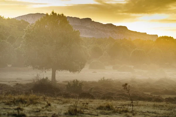 Зелена Гірська Долина Ранковому Тумані Горбиста Земля Бургос Іспанії — стокове фото
