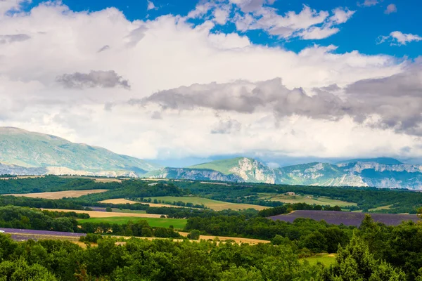 遠くにラベンダー畑や山が咲くフランスの風景 プイモアソン地方 ヴァレンソール高原 フランスのアルプ オート プロバンス — ストック写真