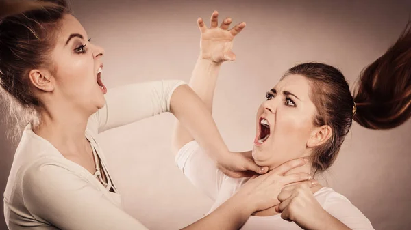 Tartışan Iki Saldırgan Kadın Birbirlerine Kızarak Kavga Ediyorlar Kadın Şiddeti — Stok fotoğraf